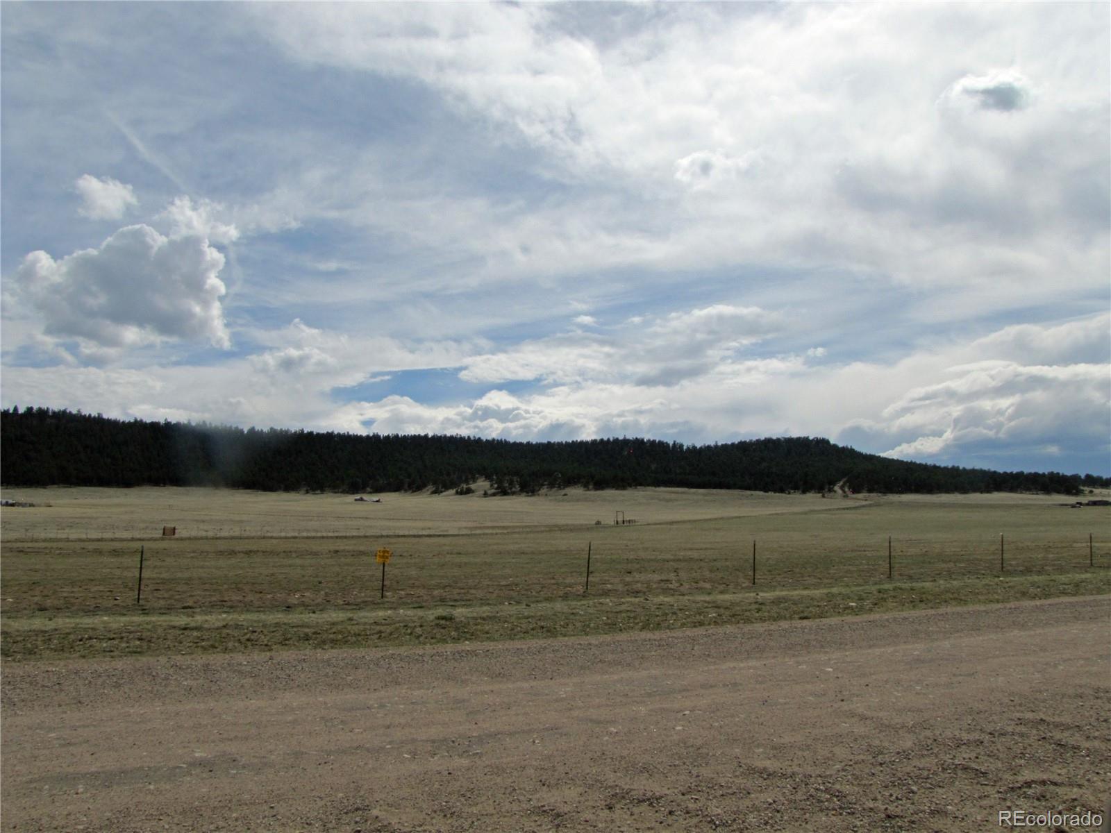 Thunder Road Lake George, CO 80827 - Photo 12 of 13