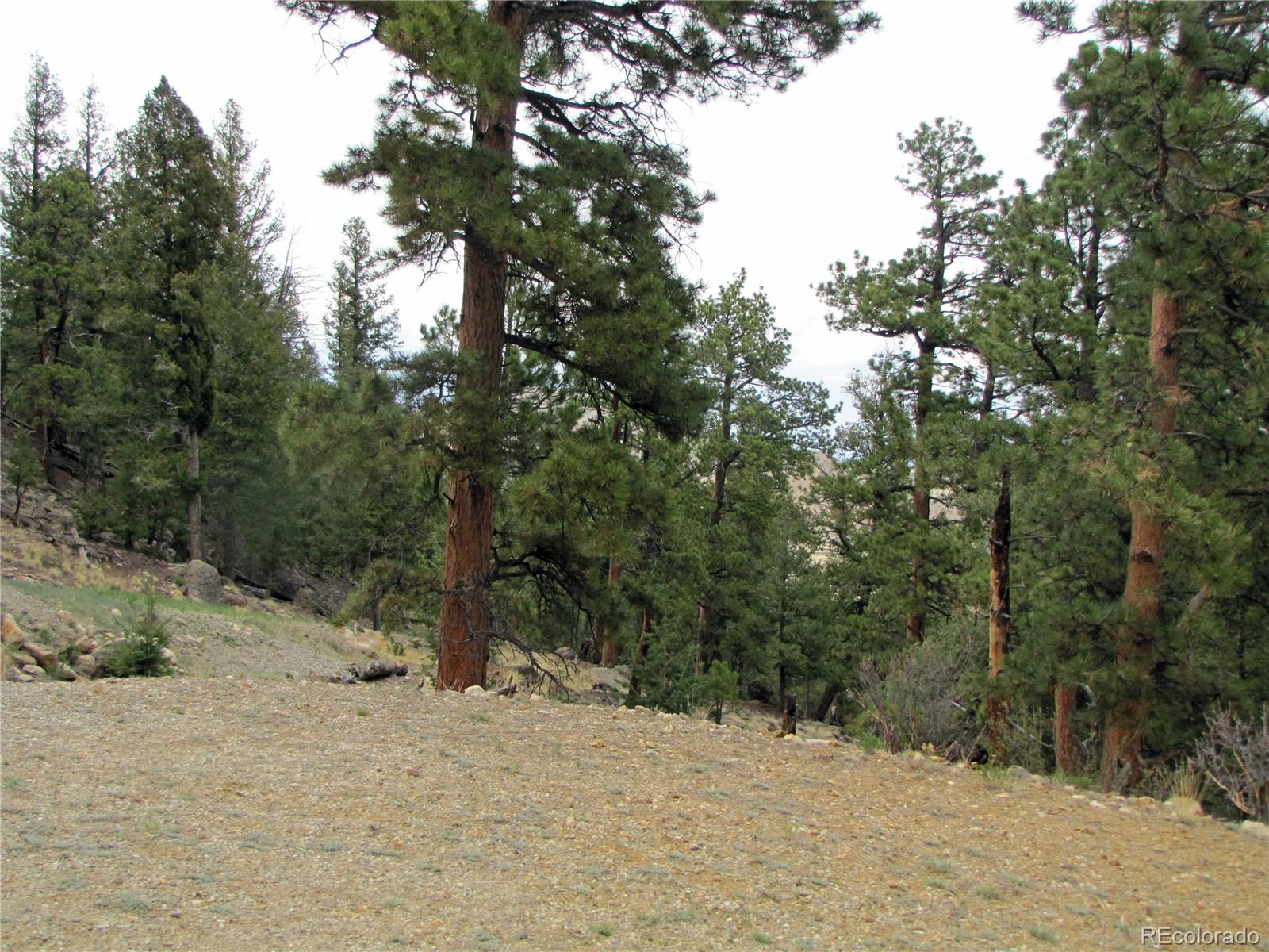 Thunder Road Lake George, CO 80827 - Photo 2 of 13