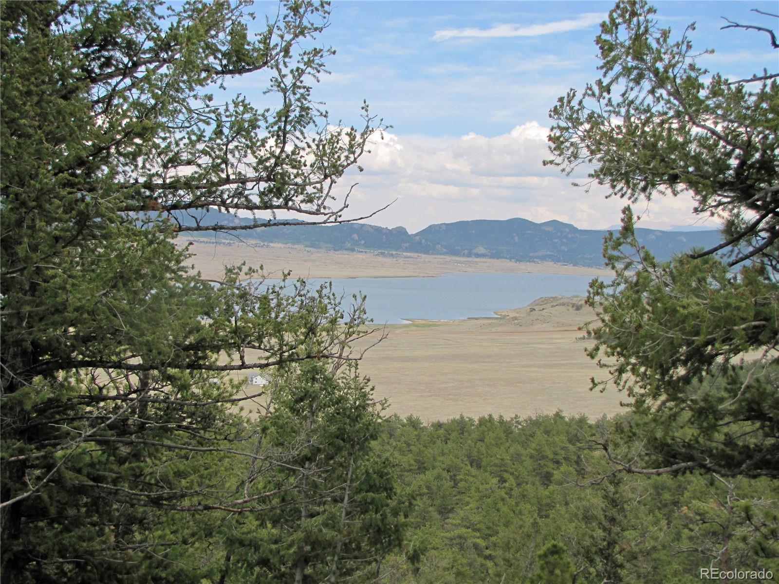 Thunder Road Lake George, CO 80827 - Photo 9 of 13