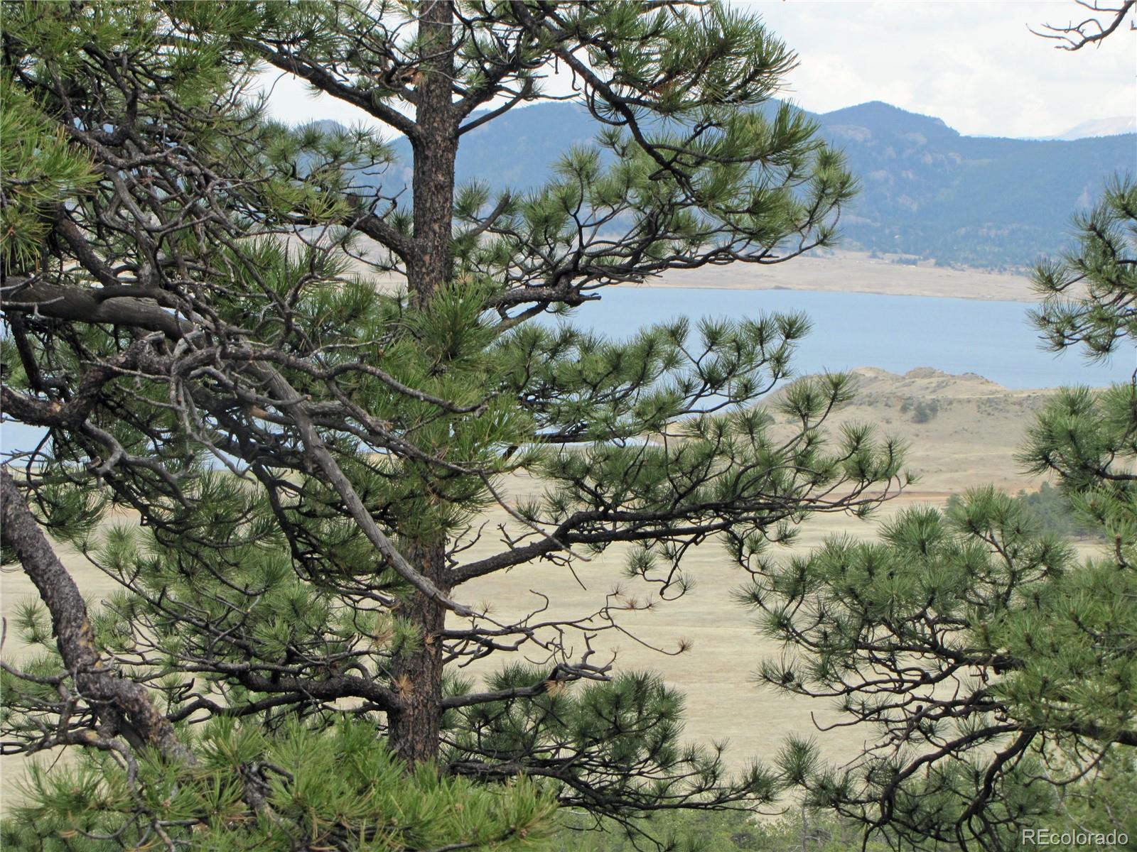 Thunder Road Lake George, CO 80827 - Photo 10 of 13