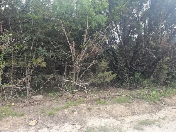 $15,000 | Tbt Elm Branch, Whitney, TX 76692