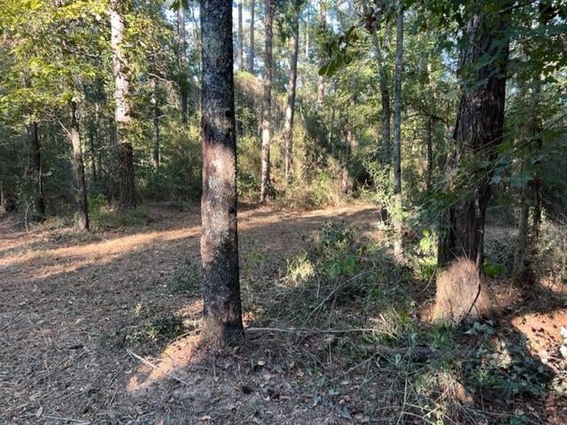 0 Old Boggy Road Opp, AL 36467 - Photo 4 of 24 Gallery Image 4