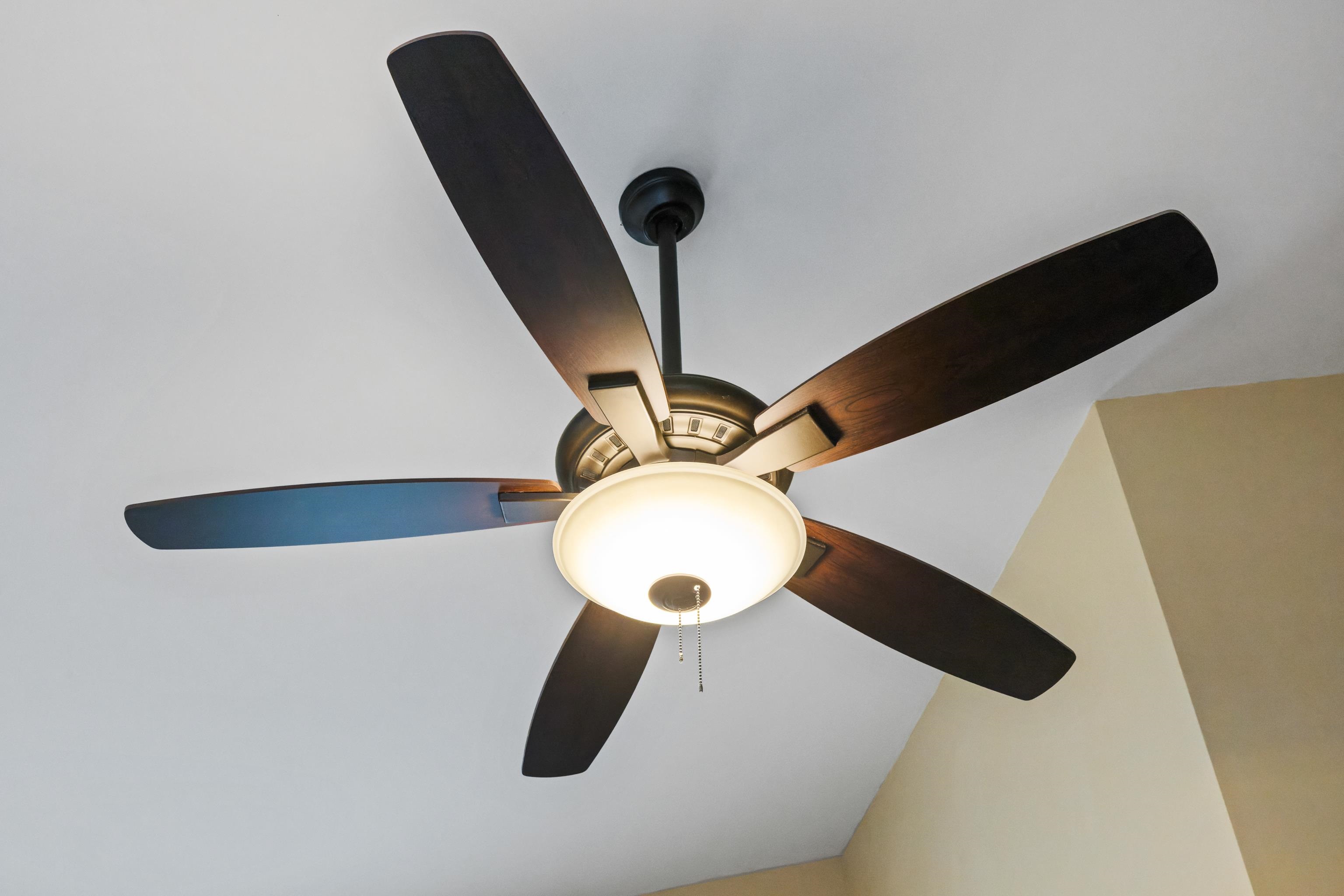 212 Alphin Avenue Waynesboro, VA 22980 - Photo 43 of 63