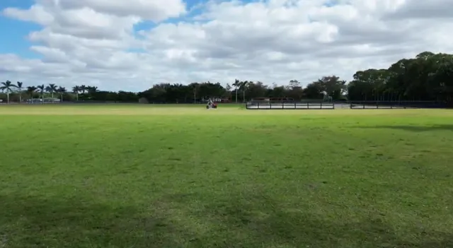 a view of a field of grass and trees