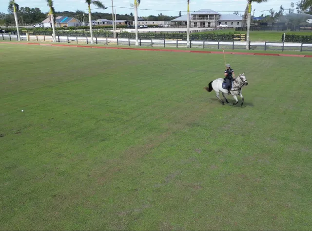a house view with outdoor space