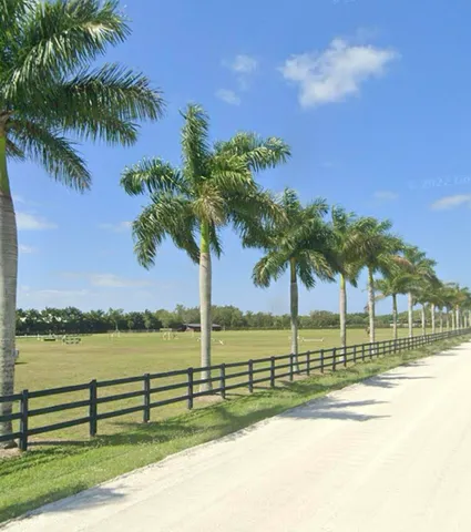 a view of an ocean with a palm tree