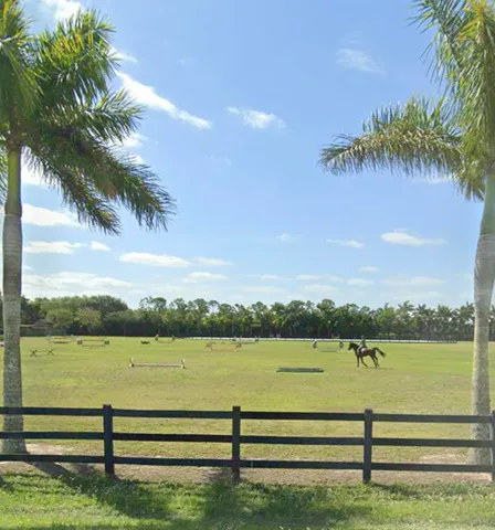 a view of a lake with a big yard and palm trees