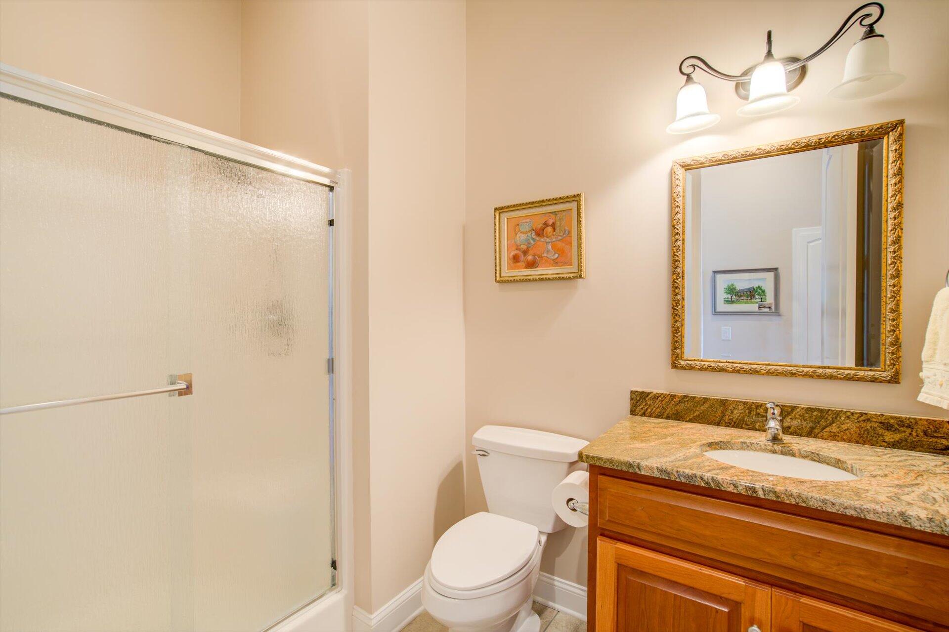 249 Pine Bay Drive Union Hall, VA 24176 - Photo 32 of 62 a bathroom with a granite countertop sink toilet and shower