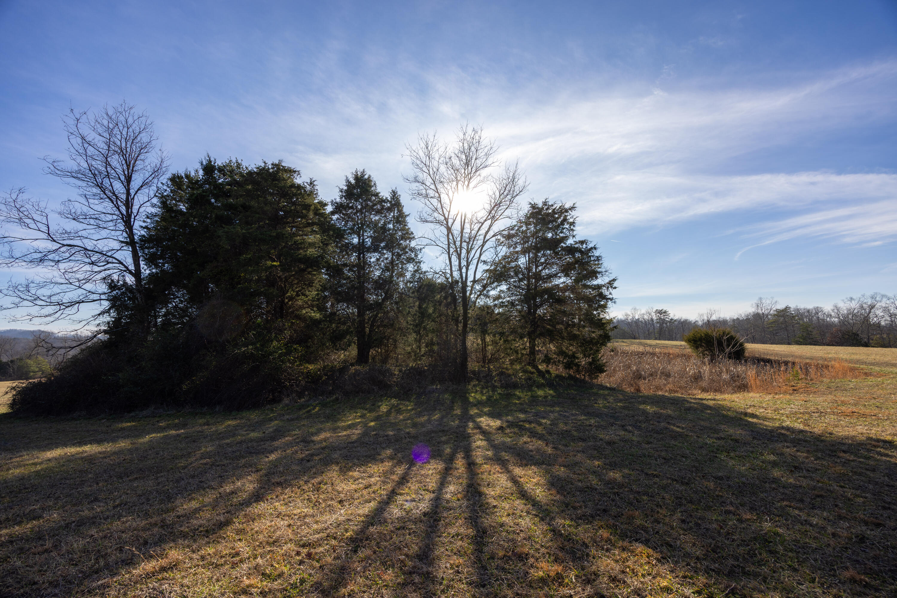 9978 Spencer Road Mount Sterling, KY 40353 - Photo 16 of 50 Appalachian Media - Brad Smith-28