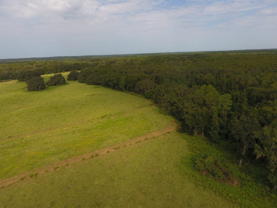6024 Northwest Little Cat Road Madison, FL 32340 - Photo 11 of 22 Gallery Image 11