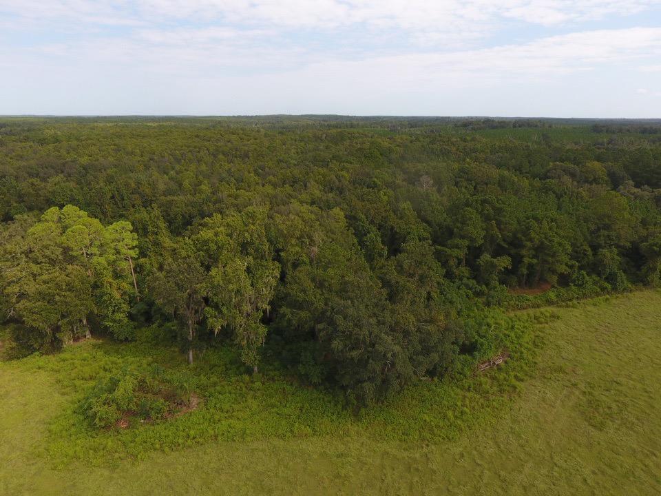 6024 Northwest Little Cat Road Madison, FL 32340 - Photo 12 of 22 Gallery Image 12