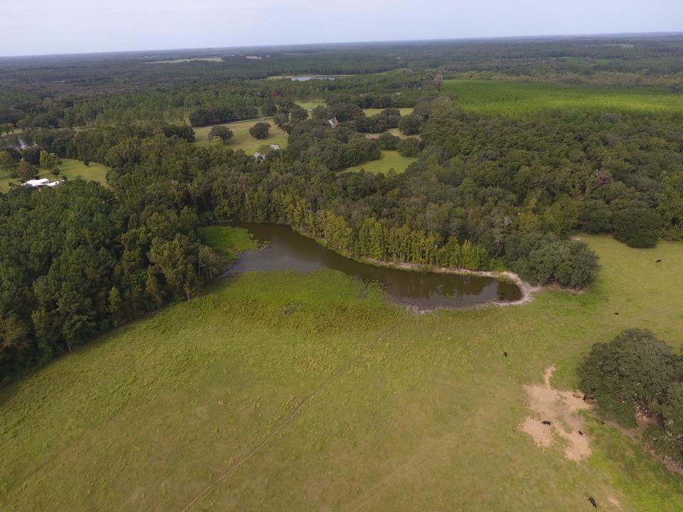 6024 Northwest Little Cat Road Madison, FL 32340 - Photo 16 of 22 Gallery Image 16