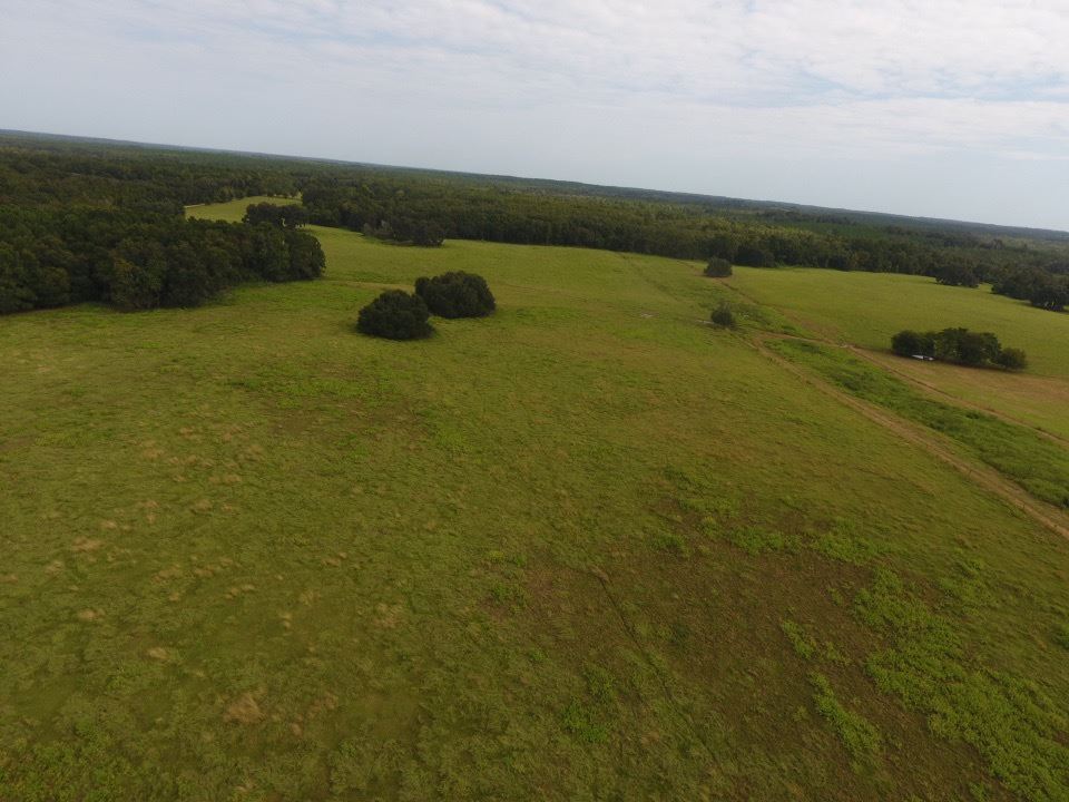 6024 Northwest Little Cat Road Madison, FL 32340 - Photo 18 of 22 Gallery Image 18