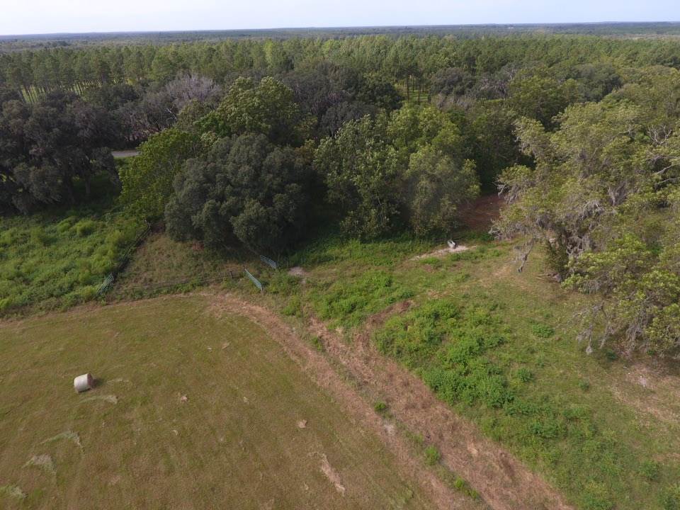 6024 Northwest Little Cat Road Madison, FL 32340 - Photo 4 of 22 Gallery Image 4