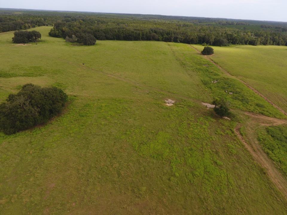 6024 Northwest Little Cat Road Madison, FL 32340 - Photo 8 of 22 Gallery Image 8