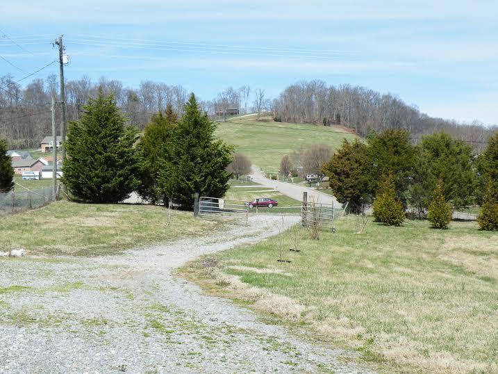 6200 Peterson Road Greenback, TN 37742 - Photo 1 of 17 1.jpg