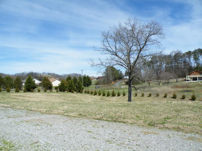 6200 Peterson Road Greenback, TN 37742 - Photo 14 of 17 20.jpg