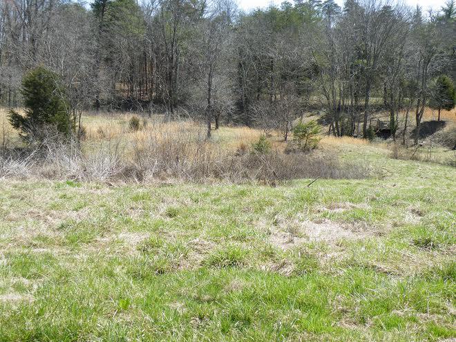 6200 Peterson Road Greenback, TN 37742 - Photo 17 of 17 25.jpg