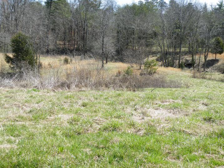 6200 Peterson Road Greenback, TN 37742 - Photo 6 of 17 5.jpg