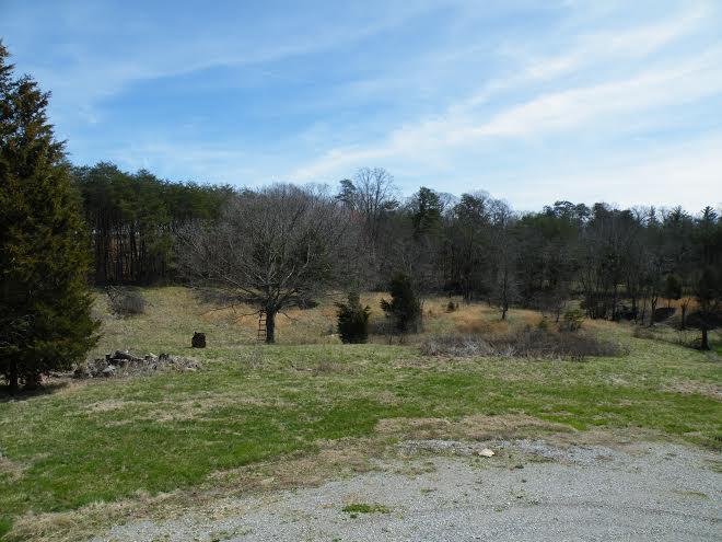 6200 Peterson Road Greenback, TN 37742 - Photo 8 of 17 8.jpg