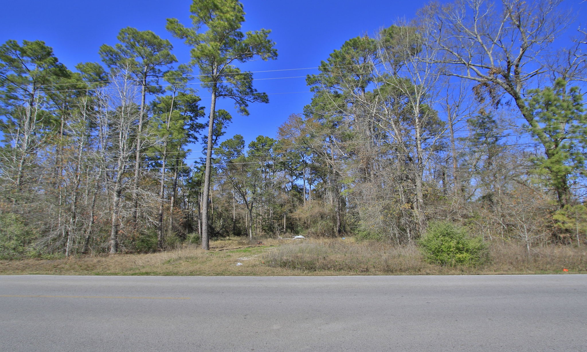 22475-22463 Adams Street Porter, TX 77365 - Photo 1 of 18 a view of a yard with a tree