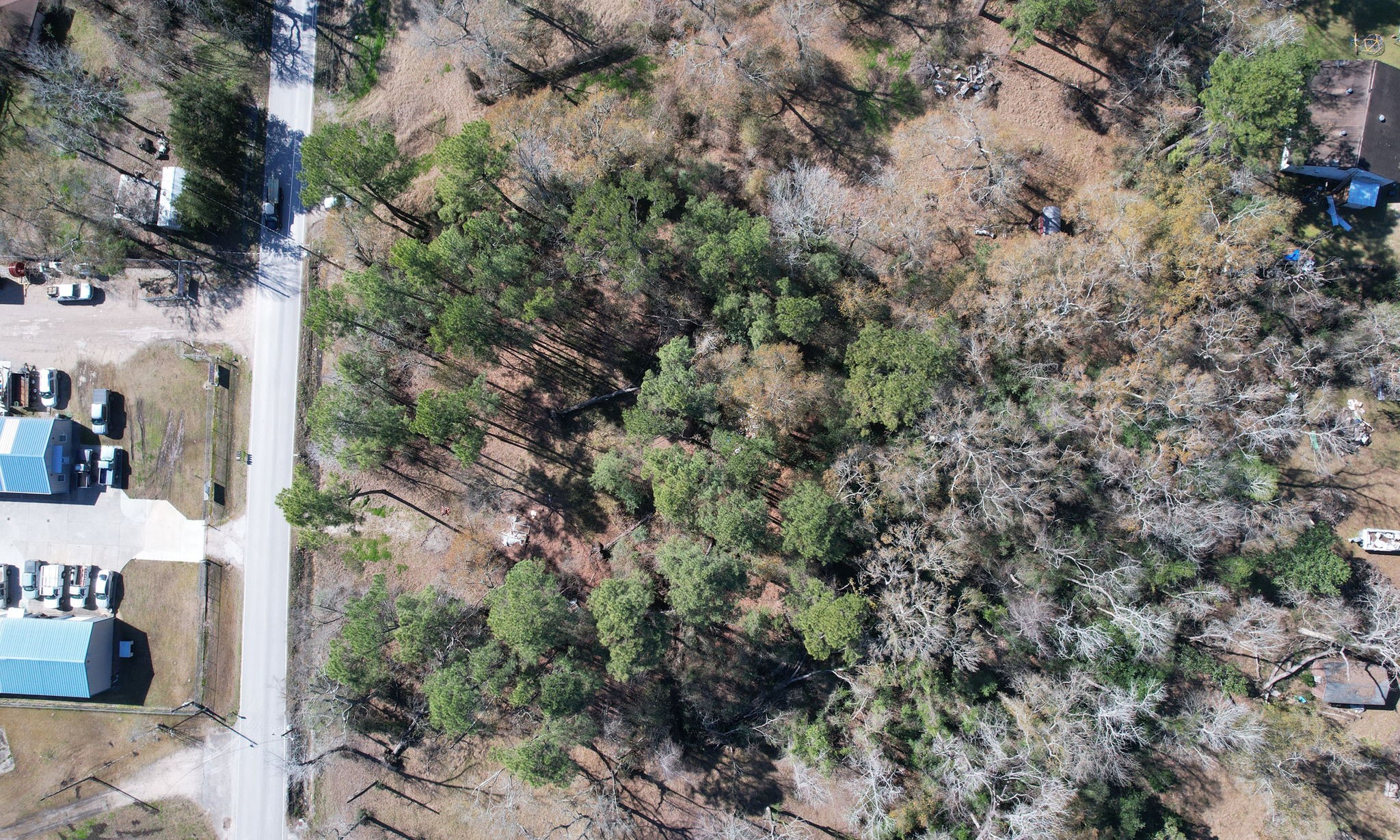 22475-22463 Adams Street Porter, TX 77365 - Photo 13 of 18 a view of a yard with plants