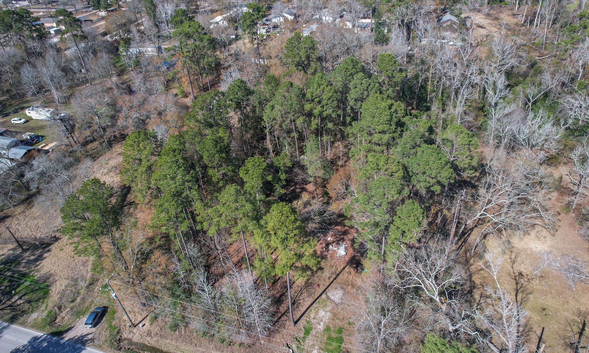 22475-22463 Adams Street Porter, TX 77365 - Photo 18 of 18 a view of a forest with a tree