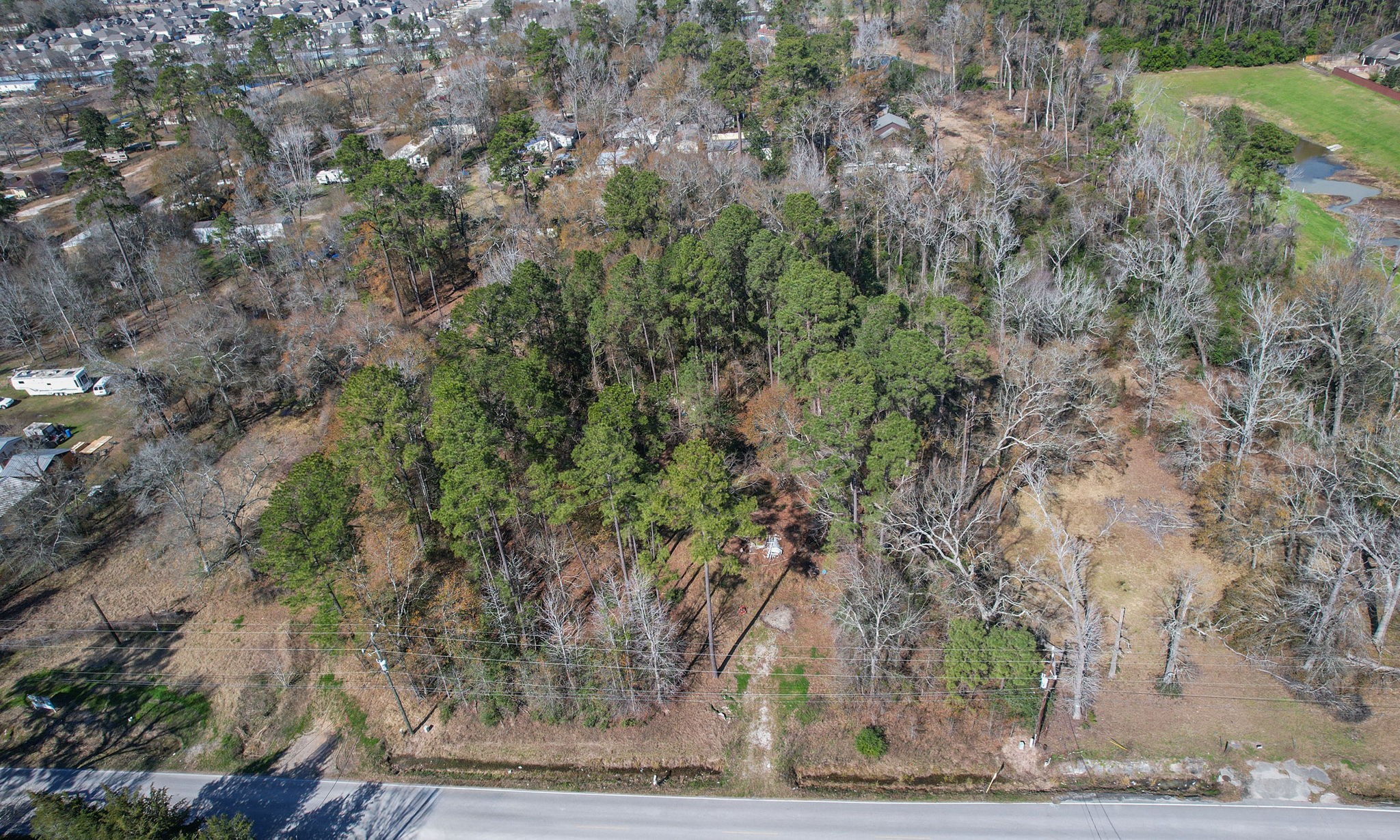 22475-22463 Adams Street Porter, TX 77365 - Photo 2 of 18 a view of a yard with large trees