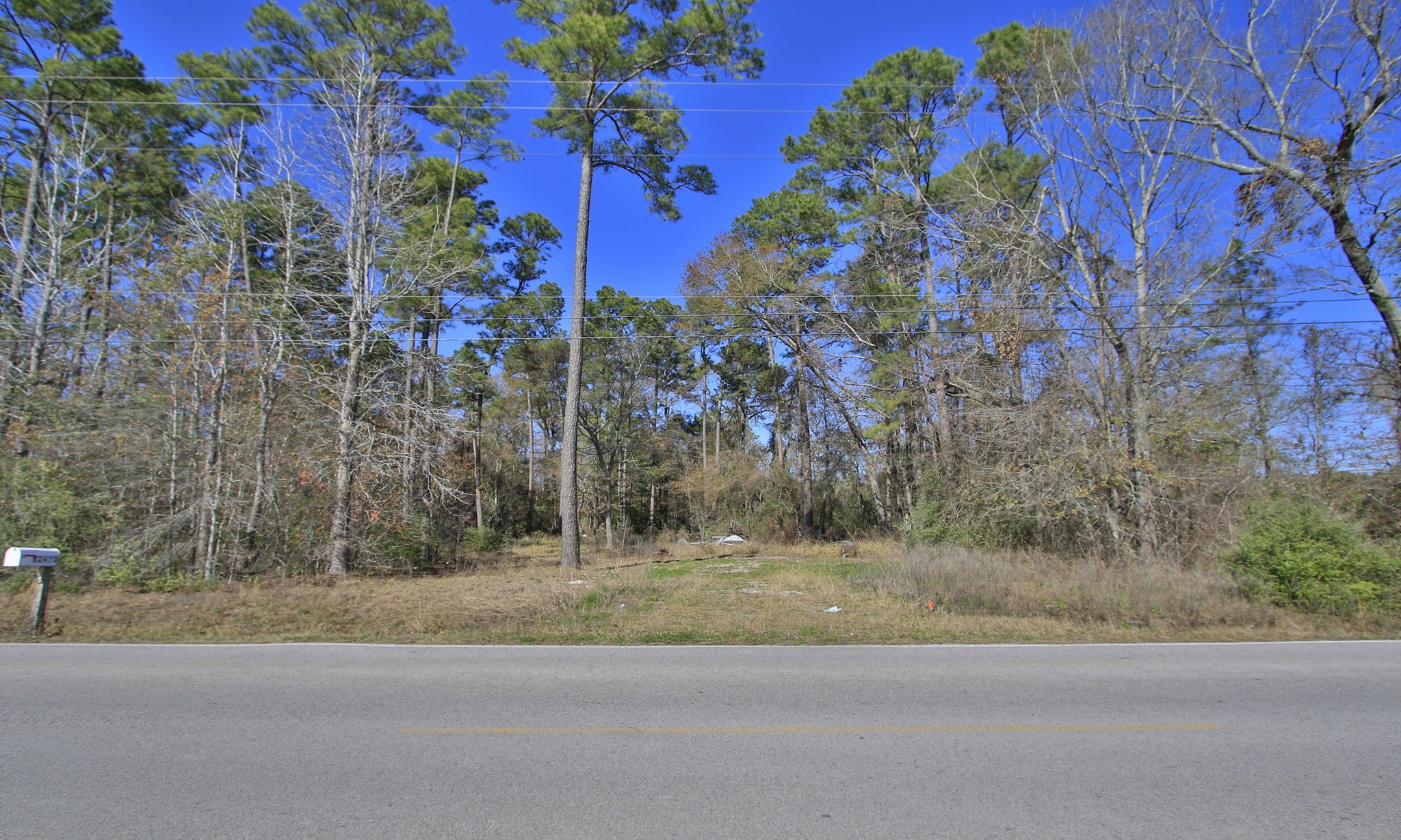 22475-22463 Adams Street Porter, TX 77365 - Photo 6 of 18 a backyard of a house with lots of green space