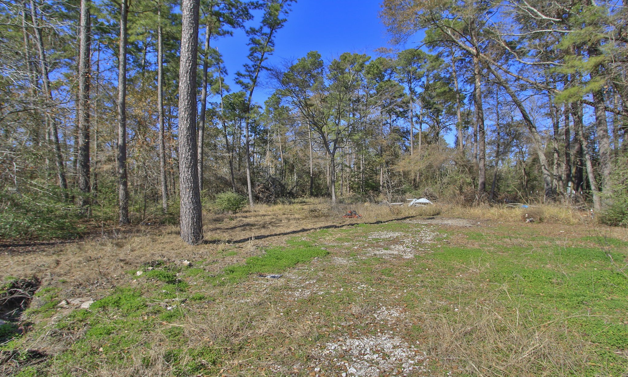 22475-22463 Adams Street Porter, TX 77365 - Photo 8 of 18 a view of backyard with green space