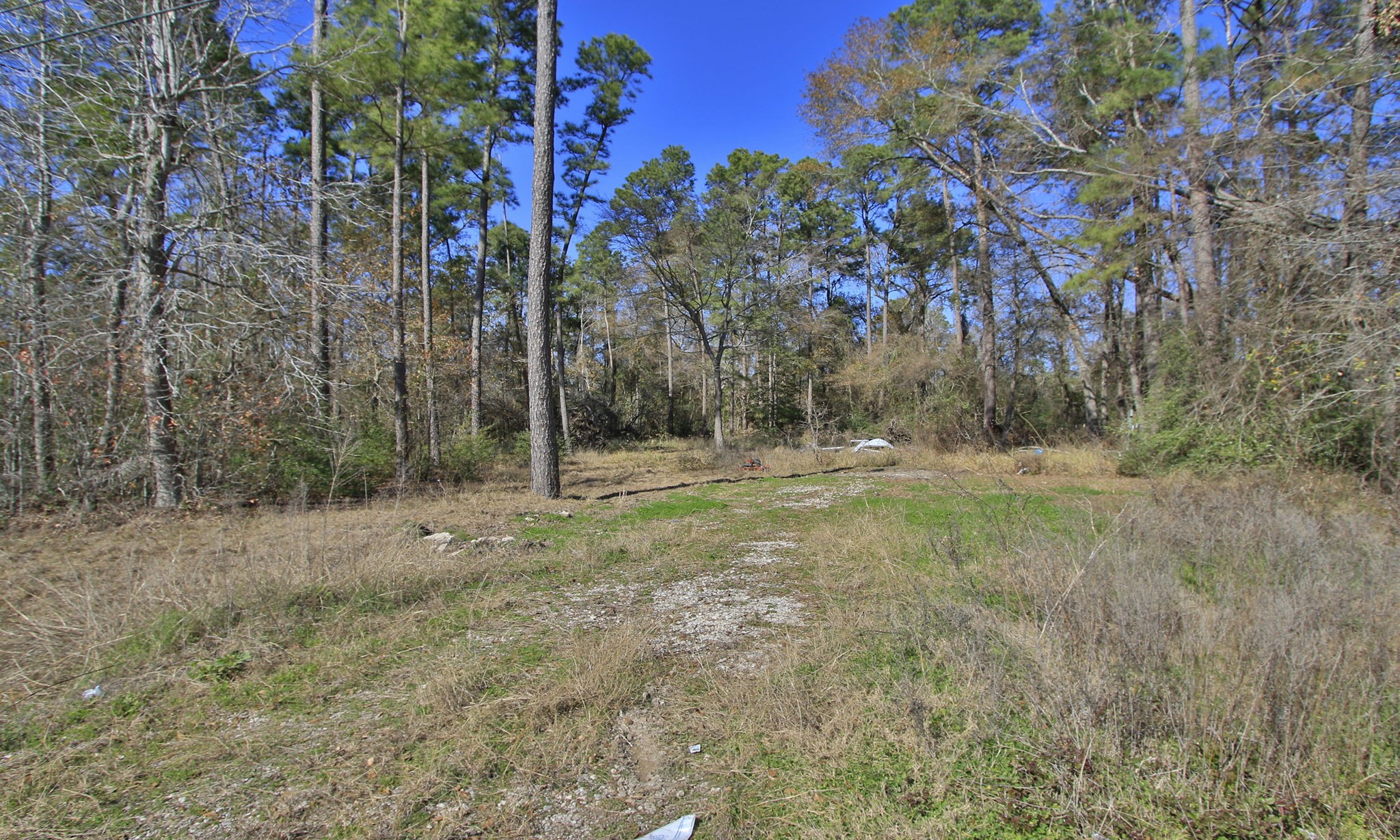 22475-22463 Adams Street Porter, TX 77365 - Photo 9 of 18 a backyard of a house with lots of green space