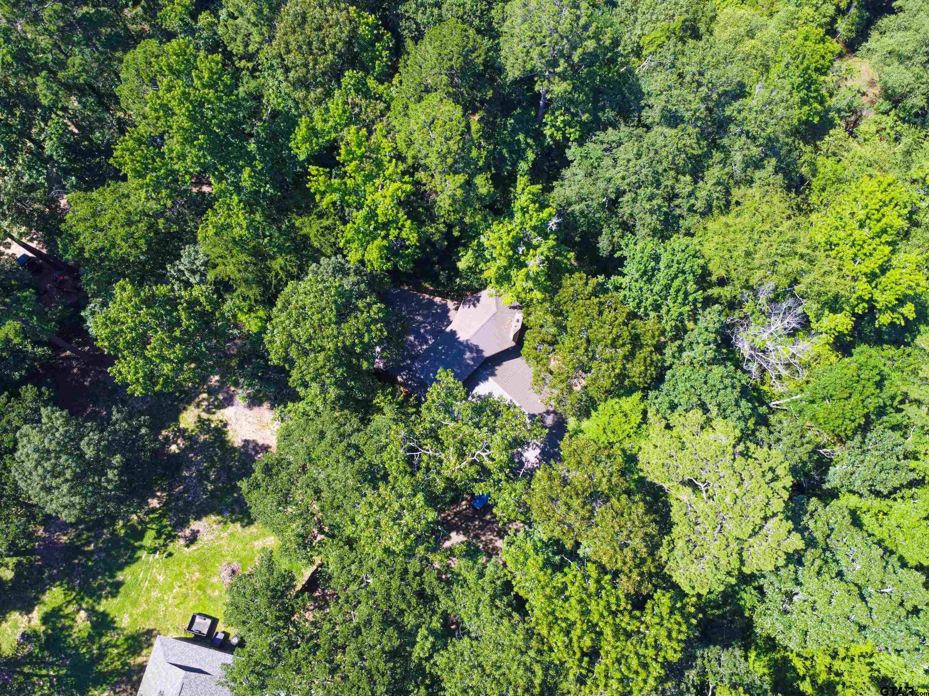 18862 Big Timber Road Tyler, TX 75703 - Photo 1 of 33 a view of a lush green forest