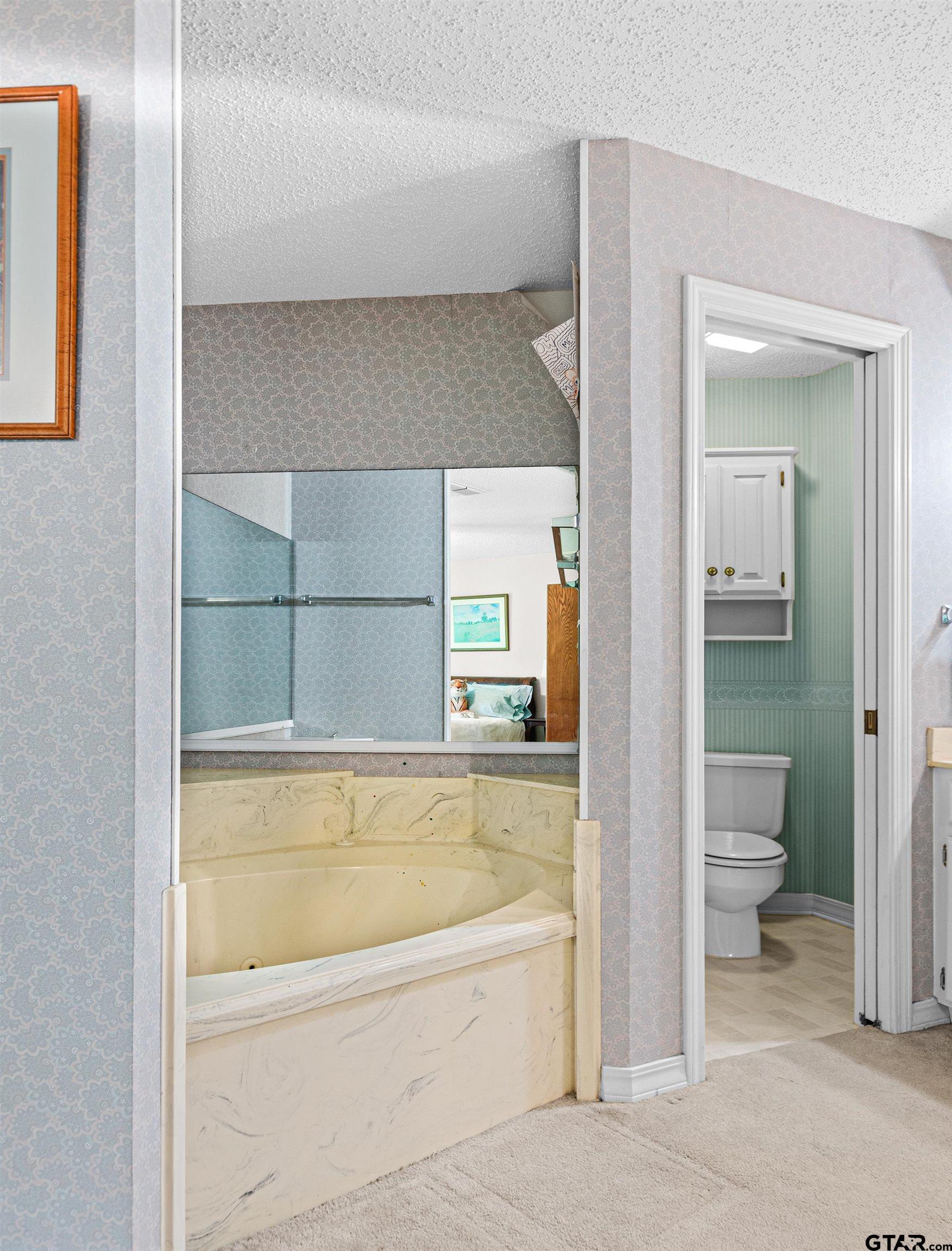 18862 Big Timber Road Tyler, TX 75703 - Photo 22 of 33 a bathroom with a bathtub and toilet