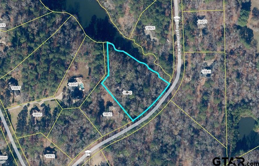 18862 Big Timber Road Tyler, TX 75703 - Photo 3 of 33 a view of a backyard of the house