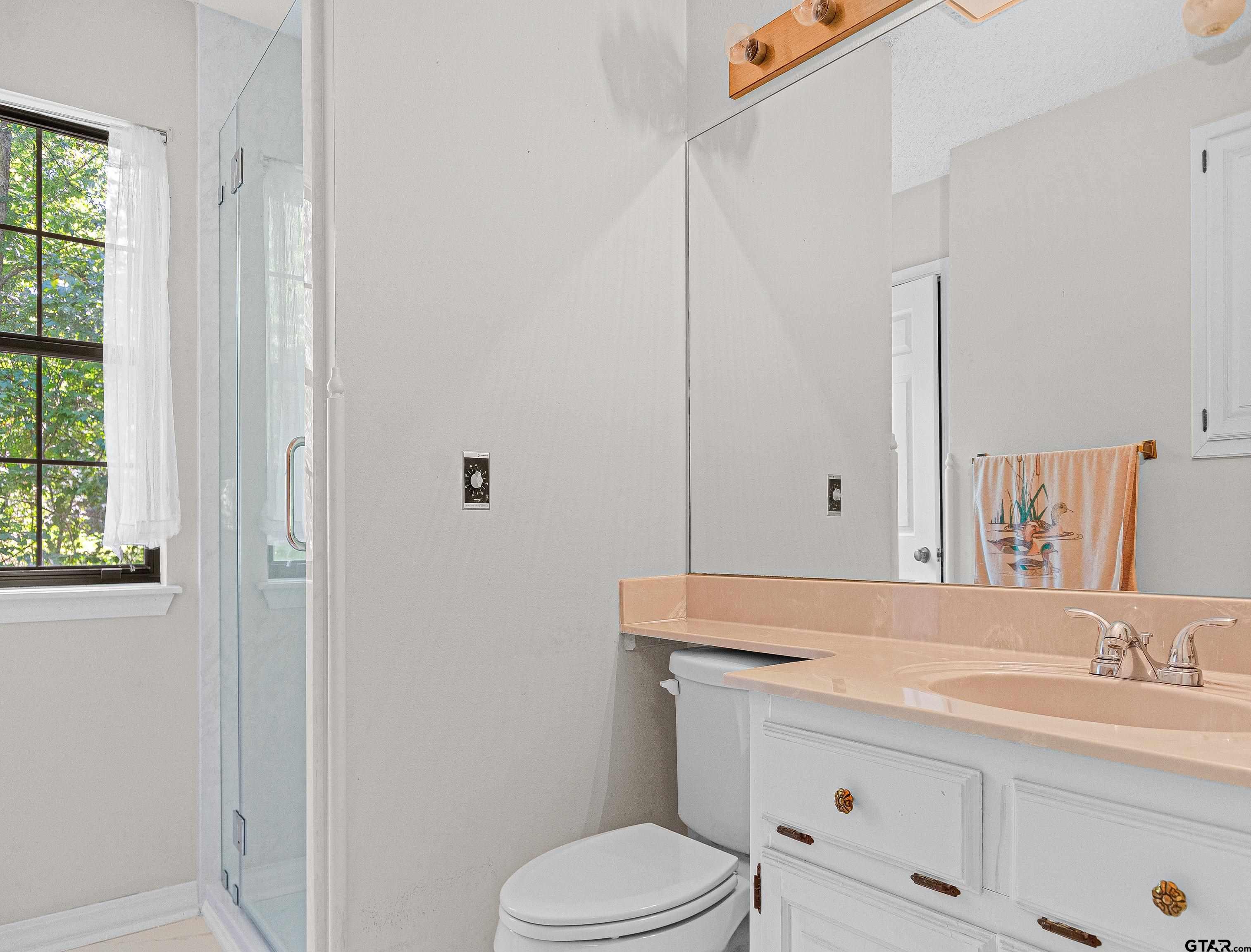 18862 Big Timber Road Tyler, TX 75703 - Photo 33 of 33 a bathroom with a sink a toilet and vanity