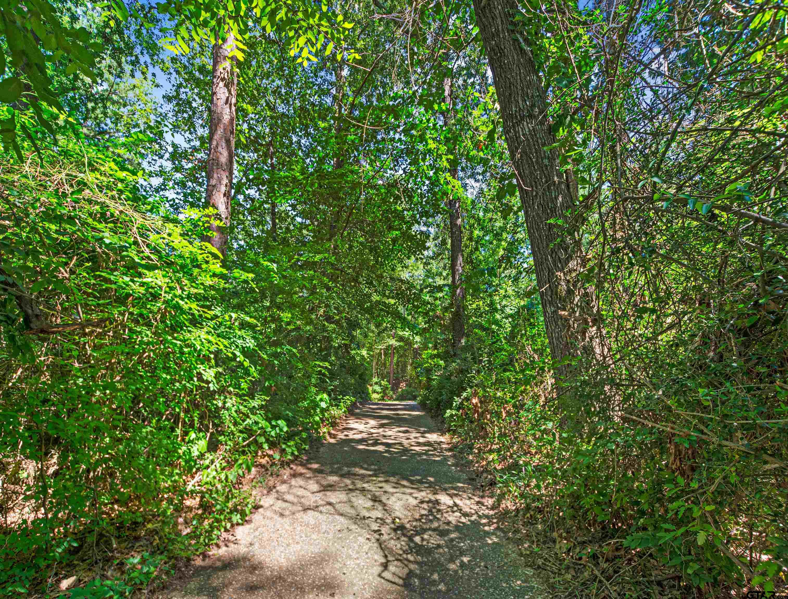 18862 Big Timber Road Tyler, TX 75703 - Photo 5 of 33 a view of a yard with plants and a tree