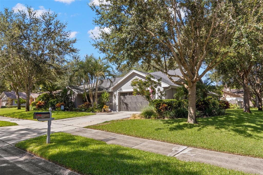 2760 Beagle Path Way Palm Harbor, FL 34683 - Photo 1 of 1 a front view of a building with a tree