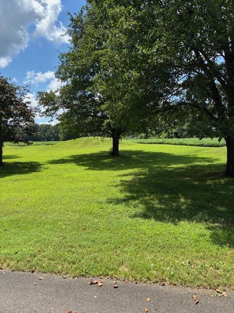 1 Nelson Mill Road Jamestown, KY 42629 - Photo 15 of 39 IMG_6213