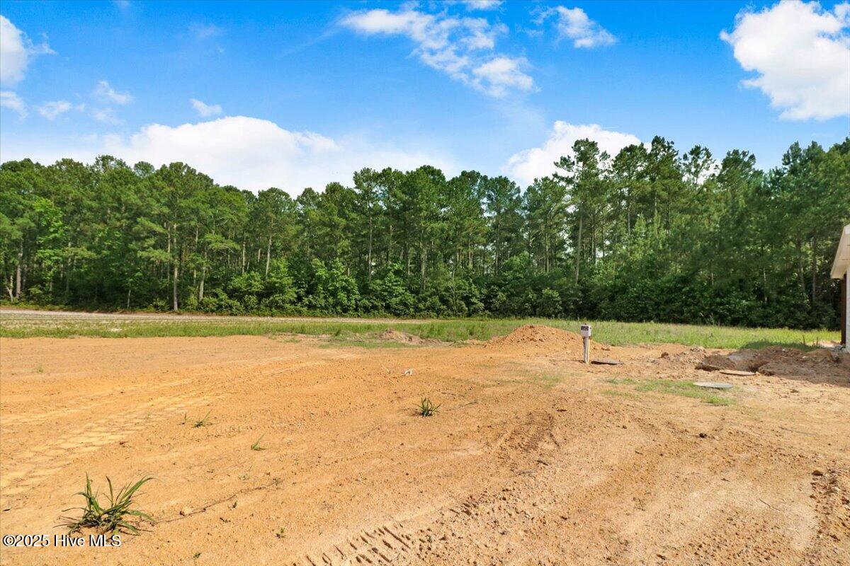 920 Hooks Road Fremont, NC 27830 - Photo 24 of 25 07-920 Hooks Rd-7