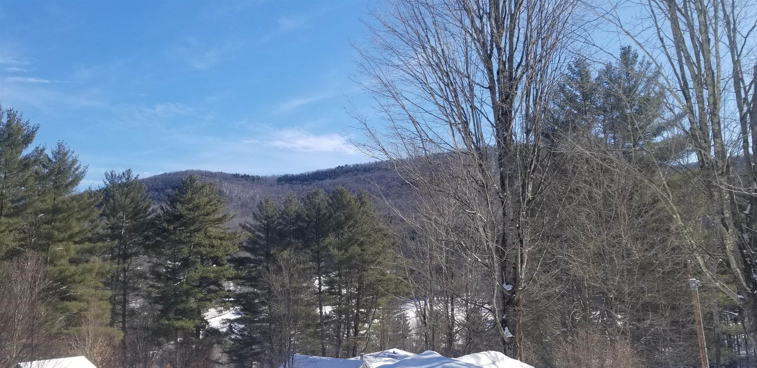 106 Blueberry Hill Road Bridgewater, VT 05035 - Photo 12 of 39 Gallery Image 12
