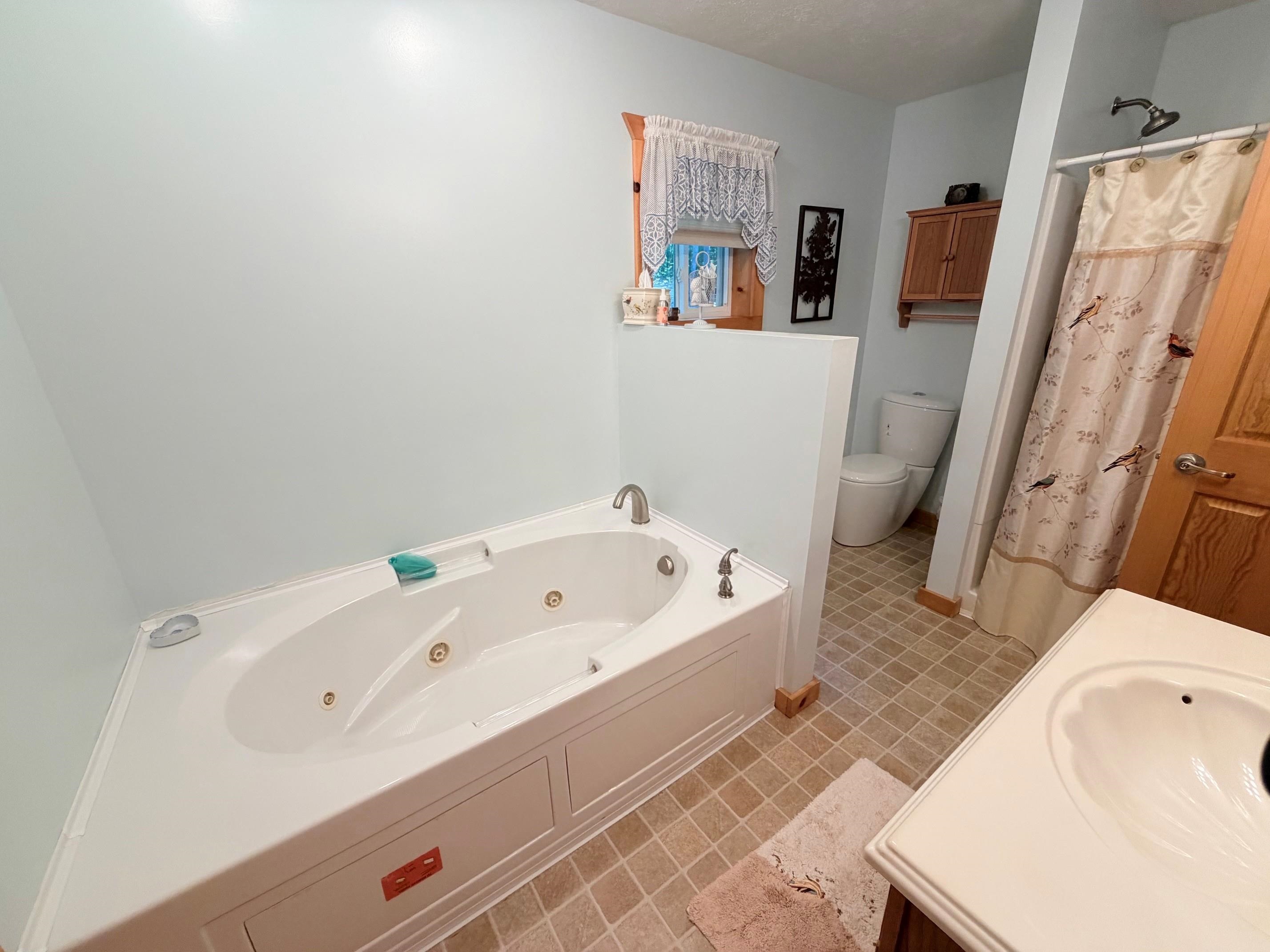 5020 Satterly Lake Road Mancelona, MI 49659 - Photo 19 of 61