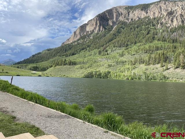 331 Eagle Lane Crested Butte, CO 81224 - Photo 10 of 10