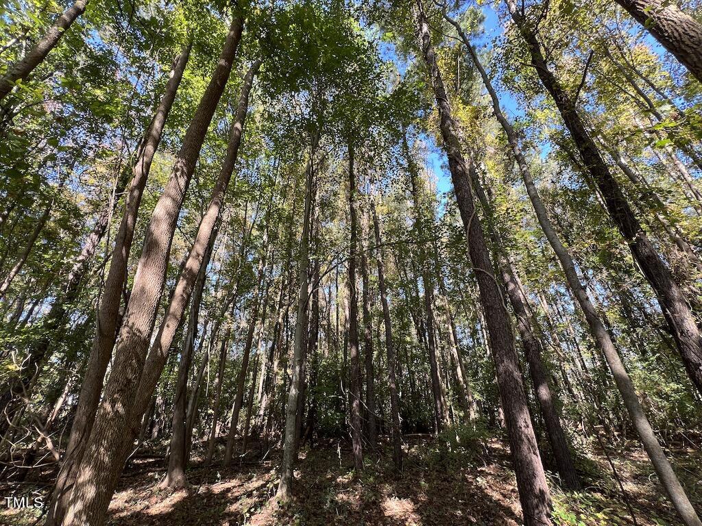 0 Buck Swamp Road Pikeville, NC 27863 - Photo 28 of 38 29