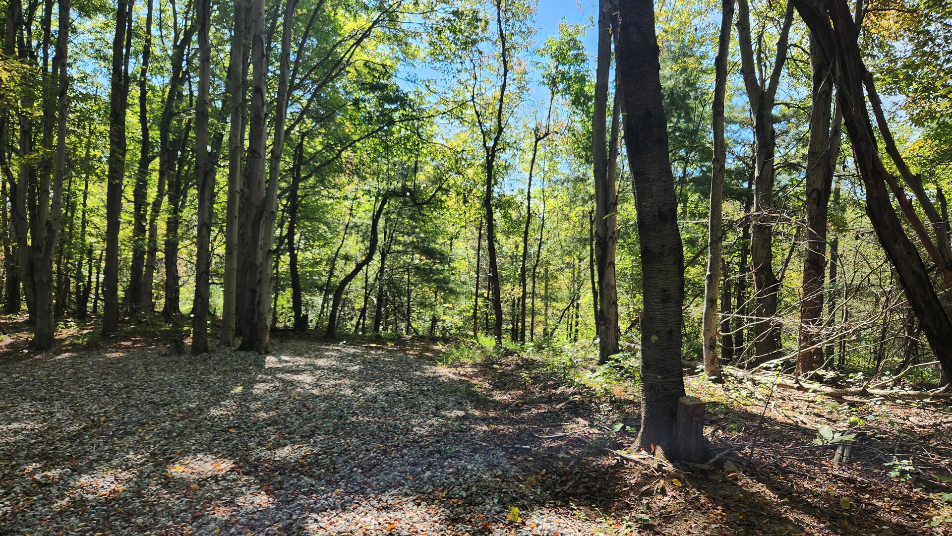 999 Poplar Ridge Road, Unit PONDS POPLAR RIDGE TRACT 15) Gallipolis, OH 45631 - Photo 22 of 34 CT-23
