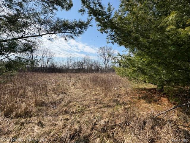 6919 Emmett Road Yale, MI 48097 - Photo 9 of 15