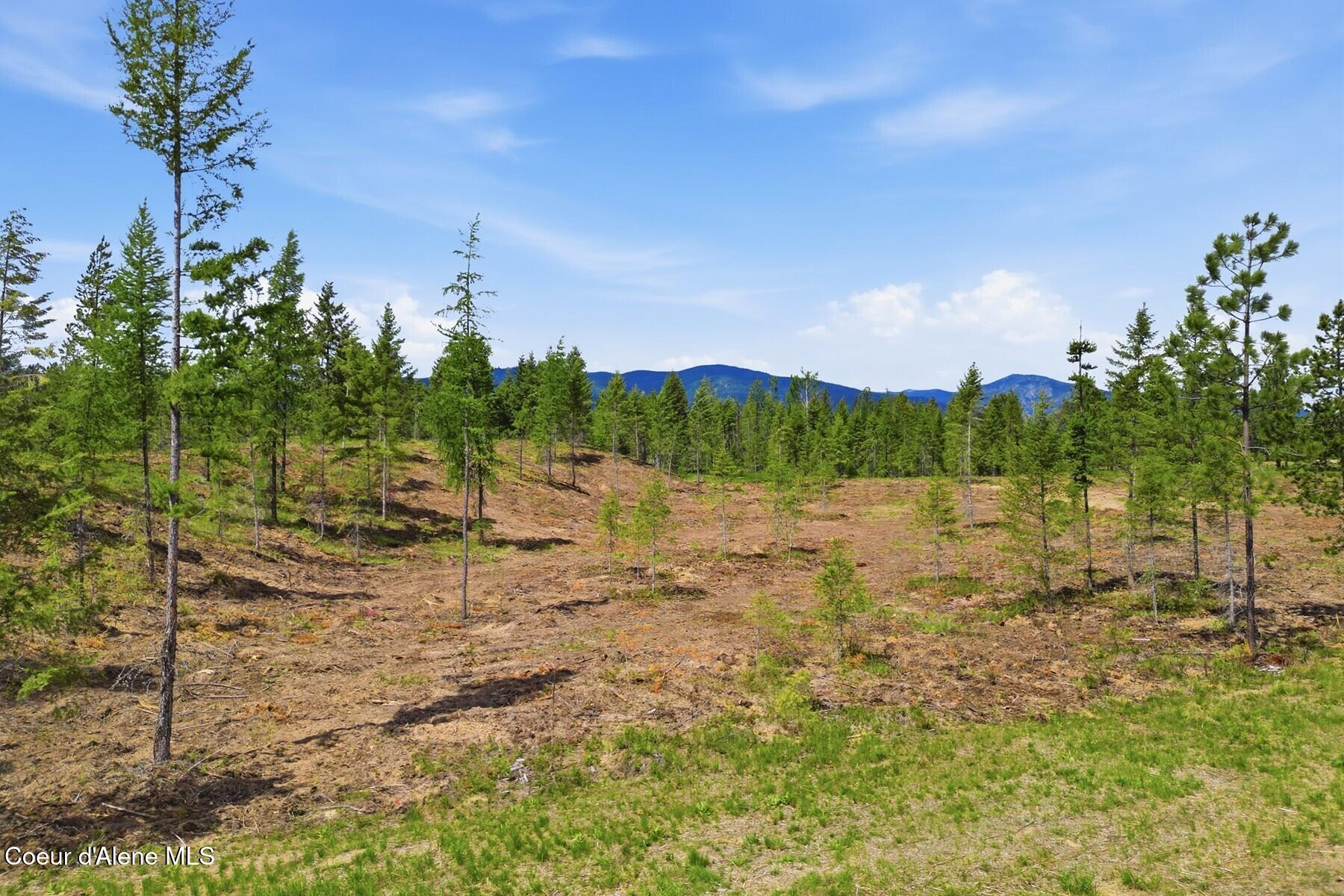 Lot 3 Poulton Way Bonners Ferry, ID 83805 - Photo 8 of 23 86465009
