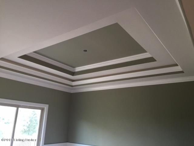 1704 Meremont Ridge Road Louisville, KY 40245 - Photo 20 of 41 meremont ceiling 2