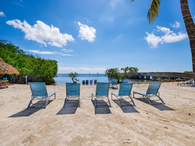 a view of a terrace with furniture and a garden