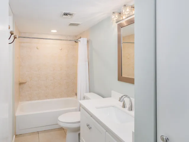 a view of a bunch of plants and flowers