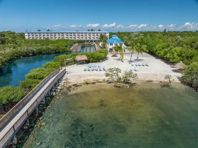 a view of a lake with a city